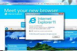 internet explorer 11 ptbr windows 7