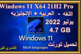 Windows 11 X64 21H2 Pro 3in1 OEM ESD MULTi-4 JUNE 2022 {Gen2}