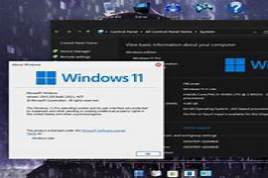 Windows 11 Pro 22H2 X-Lite Optimum 11 Build 22621.1483 (x64) En-US PreActivated